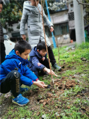 橡树湾：拥抱春天，我爱绿色
